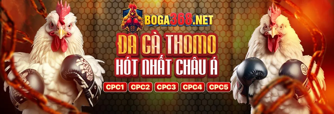 Cá cược trực tiếp và phát sóng trực tuyến